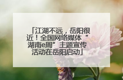 江湖不远，岳阳很近！全国网络媒体“湖南e周”主题宣传活动在岳阳启动