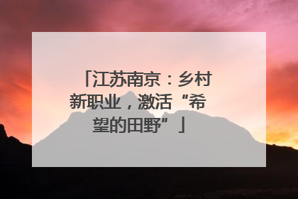 江苏南京：乡村新职业，激活“希望的田野”