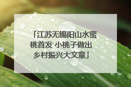 江苏无锡阳山水蜜桃首发 小桃子做出乡村振兴大文章