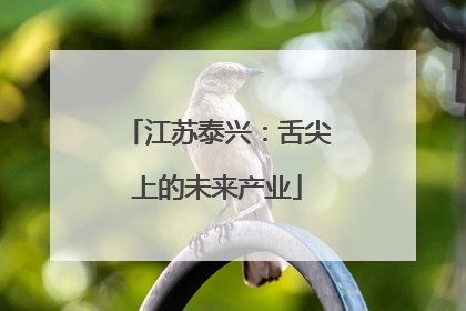 江苏泰兴：舌尖上的未来产业