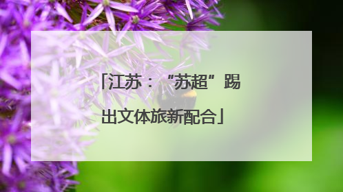 江苏：“苏超”踢出文体旅新配合