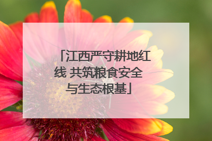 江西严守耕地红线 共筑粮食安全与生态根基