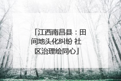江西南昌县：田间地头化纠纷 社区治理绘同心