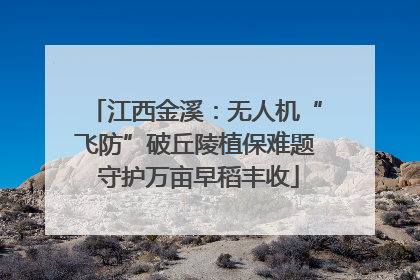 江西金溪：无人机“飞防”破丘陵植保难题 守护万亩早稻丰收