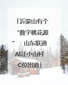 沂蒙山有个“数字桃花源”：山东联通AI让小山村C位出道