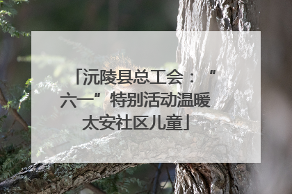 沅陵县总工会：“六一”特别活动温暖太安社区儿童