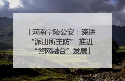 河南宁陵公安：深耕“派出所主防” 推进“警网融合”发展