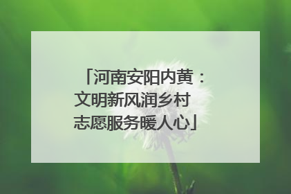 河南安阳内黄：文明新风润乡村 志愿服务暖人心