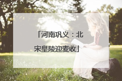 河南巩义：北宋皇陵迎麦收