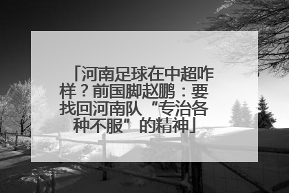 河南足球在中超咋样？前国脚赵鹏：要找回河南队“专治各种不服”的精神
