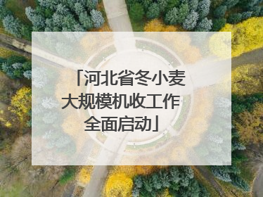 河北省冬小麦大规模机收工作全面启动