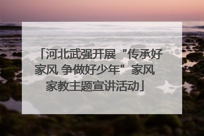 河北武强开展“传承好家风 争做好少年”家风家教主题宣讲活动