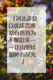 河北涉县以优质普惠幼有善育为不懈追求——让山里娃眼眸有星光