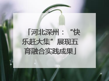 河北深州：“快乐赶大集”展现五育融合实践成果