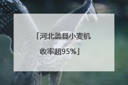 河北蠡县小麦机收率超95%