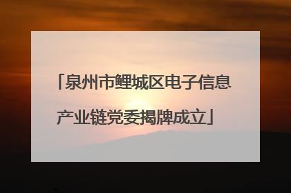 泉州市鲤城区电子信息产业链党委揭牌成立