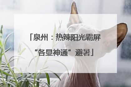 泉州：热辣阳光霸屏 “各显神通”避暑