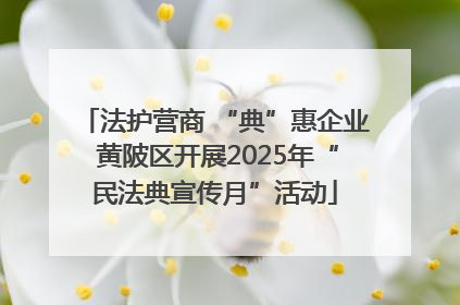法护营商 “典”惠企业 黄陂区开展2025年“民法典宣传月”活动
