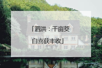 泗洪：千亩茭白喜获丰收