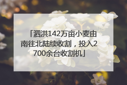 泗洪142万亩小麦由南往北陆续收割，投入2700余台收割机