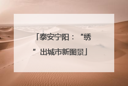 泰安宁阳：“绣”出城市新图景