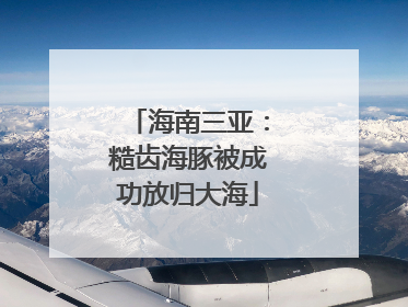 海南三亚：糙齿海豚被成功放归大海