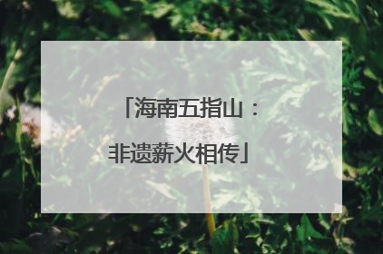 海南五指山：非遗薪火相传