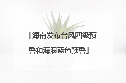 海南发布台风四级预警和海浪蓝色预警