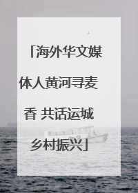 海外华文媒体人黄河寻麦香 共话运城乡村振兴