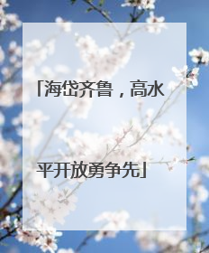 海岱齐鲁，高水平开放勇争先