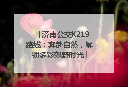济南公交K219路线：奔赴自然，解锁多彩郊野时光