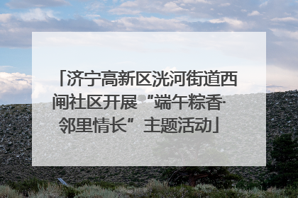 济宁高新区洸河街道西闸社区开展“端午粽香·邻里情长”主题活动