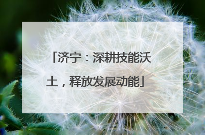 济宁：深耕技能沃土，释放发展动能