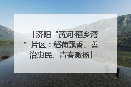 济阳“黄河·稻乡湾”片区：稻荷飘香、善治惠民、青春激扬