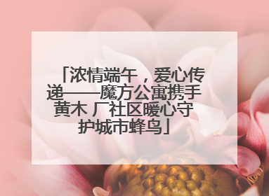 浓情端午，爱心传递——魔方公寓携手黄木 厂社区暖心守护城市蜂鸟