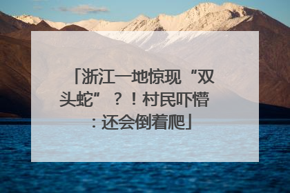 浙江一地惊现“双头蛇”？！村民吓懵：还会倒着爬