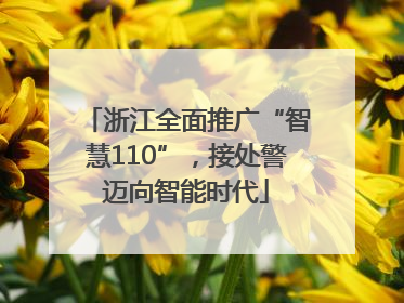 浙江全面推广“智慧110”，接处警迈向智能时代