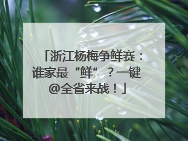 浙江杨梅争鲜赛：谁家最“鲜”？一键@全省来战！