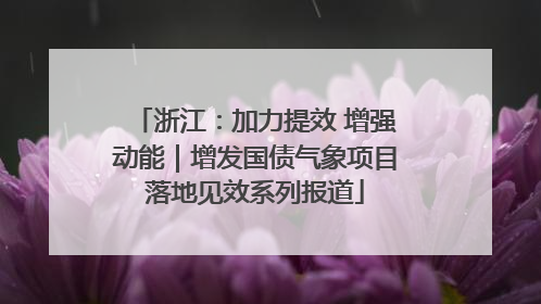 浙江：加力提效 增强动能｜增发国债气象项目落地见效系列报道