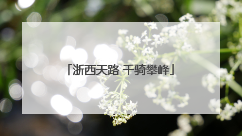 浙西天路 千骑攀峰