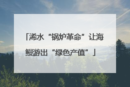 浠水“锅炉革命”让海鳗游出“绿色产值”