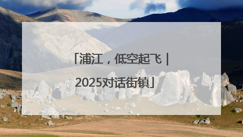 浦江，低空起飞｜2025对话街镇