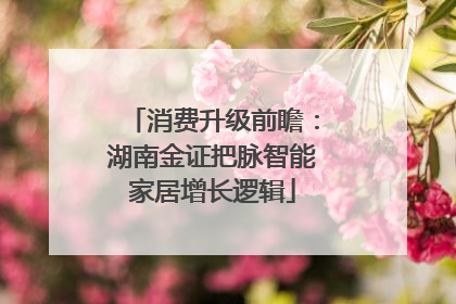 消费升级前瞻：湖南金证把脉智能家居增长逻辑