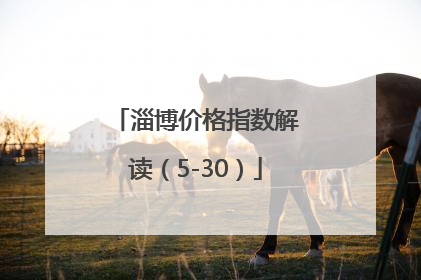 淄博价格指数解读（5-30）