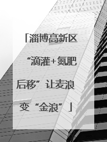 淄博高新区“滴灌+氮肥后移”让麦浪变“金浪”