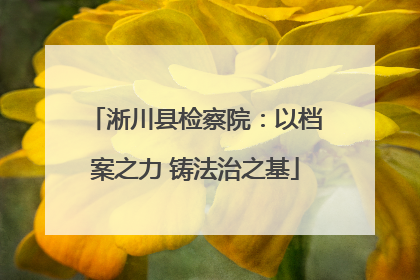 淅川县检察院：以档案之力 铸法治之基