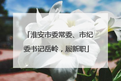 淮安市委常委、市纪委书记岳岭，履新职