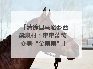 清徐县马峪乡西梁泉村：串串葡萄变身“金果果”