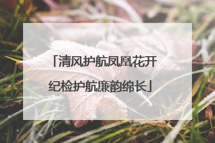 清风护航凤凰花开 纪检护航廉韵绵长