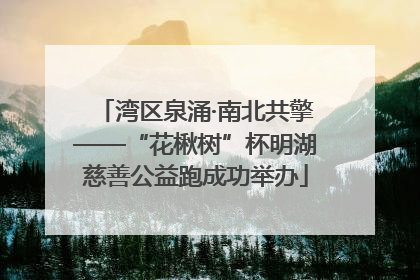 湾区泉涌·南北共擎——“花楸树”杯明湖慈善公益跑成功举办